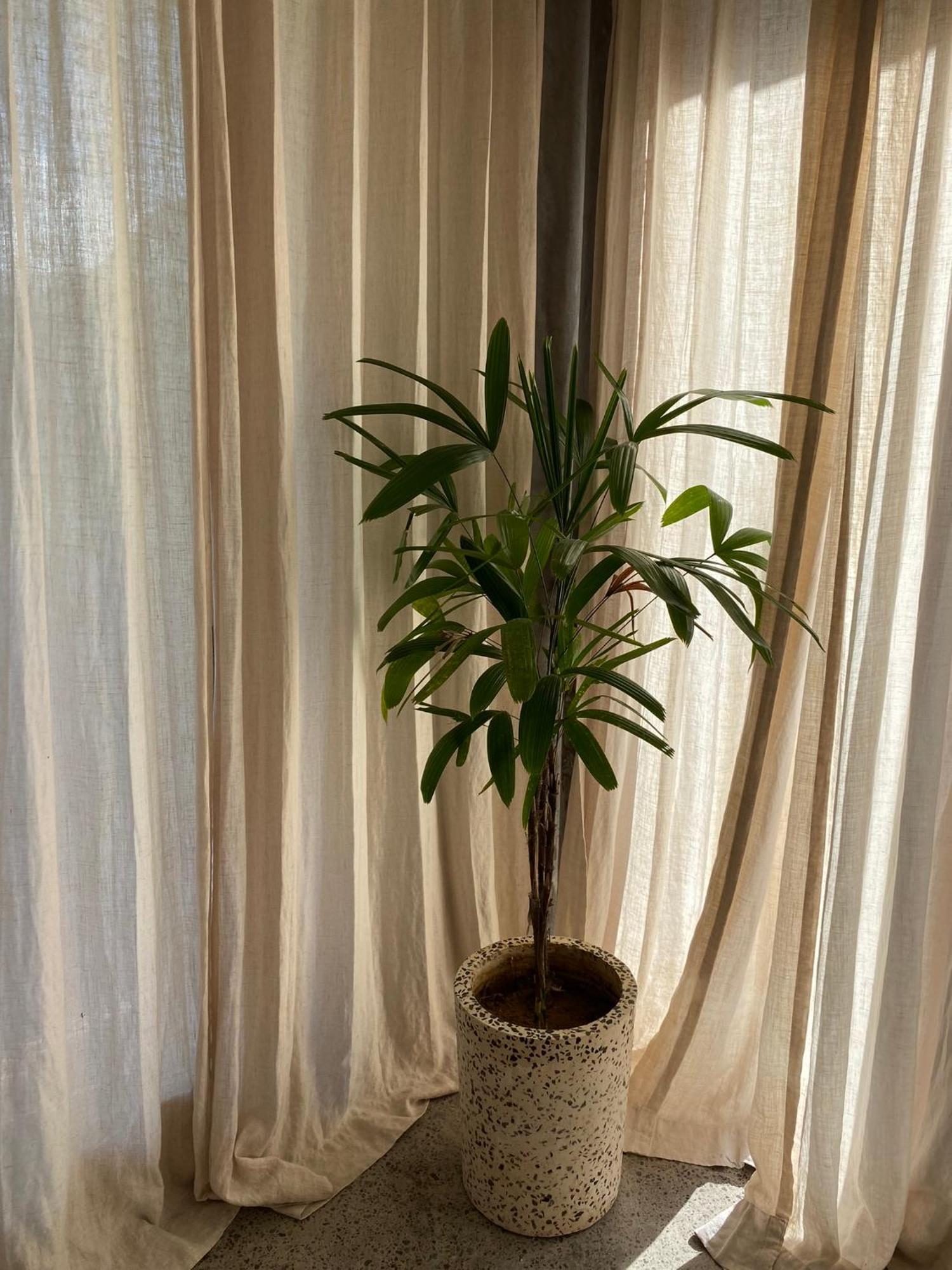 Villa Fig - Private 2 Bedroom *